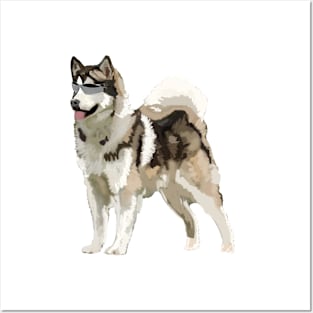 Husky Dog Posters and Art